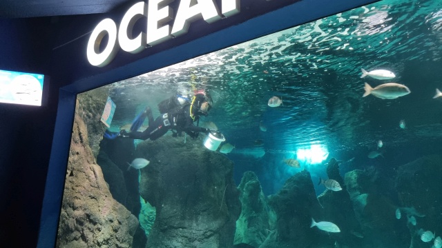 ../images/fotoalbum/lanzarote23/2023-09-18 12.30.47